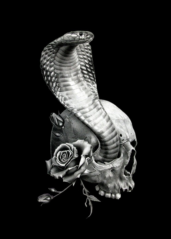 COBRA 2  by Miro Gradinscak